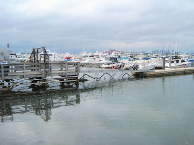 Dock1
